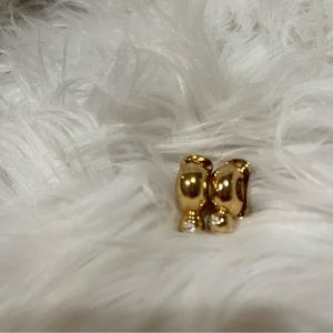 chr Dior earrings